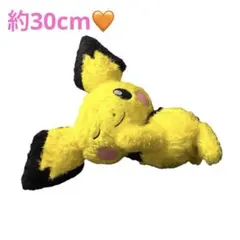 ポケットモンスター めちゃもふぐっと くつろぎタイムぬいぐるみ～ピチュー～