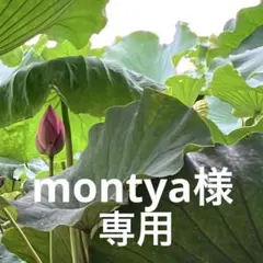 montya様専用ページ