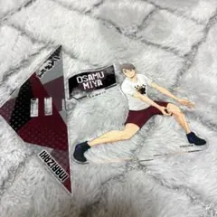 ハイキュー宮治