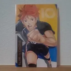 ハイキュー 日向 ポートレートカード