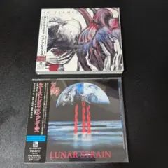 IN FLAMES イン・フレイムス CD 日本盤 2枚セット - メルカリ