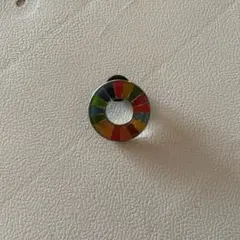 SDGs カラフル円形ピンバッジ