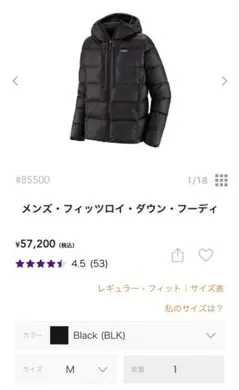 早い者勝ち新品未使用Patagonia フィッツロイ・ダウン・フーデM ブラック