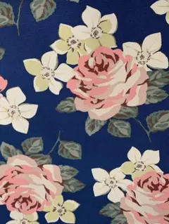 16♬【1m】キャスキッドソン・デニム生地