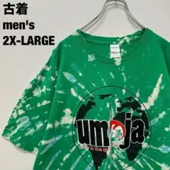 古着 ギルダン Tシャツ ユニティ インザ コミニティ ブリーチ 緑 2XL