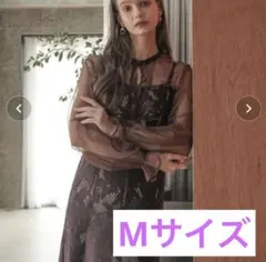 Item thumbnail for item 72724351-19f9-4ef5-b06f-9db889adb12d