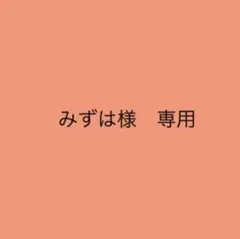 みずは様 リクエスト 2点 まとめ商品