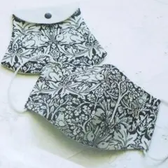 Item thumbnail for item 24ac9dda-4fe4-468a-a65c-ef15188540d7