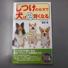 「しつけ」の仕方で犬はどんどん賢くなる : 困ったクセは生まれつきじゃない!