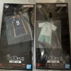 一番くじ　ハイキュー　全国への道　F賞