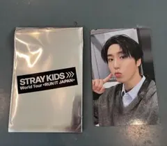 Stray Kidsスキズ　RUN IT 1万円特典　JYP ハンジソン　ハン