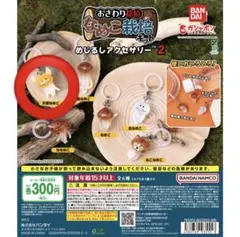 Sekaimen 世界門-日本代購、代標、代運、Yahoo拍賣| 吉川資訊有限公司 
