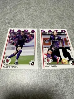 TOPPS京都サンガセット