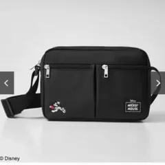 Item thumbnail for item 072da564-965d-40a6-b69a-7e7fec4934c0