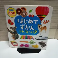 はじめてずかん これ、な～に？