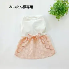 みいたん様オーダー品2点　犬の服　犬服ハンドメイド