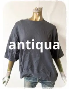☘️T17658☘️antiqua 半袖 裏毛プルオーバー トレーナー F