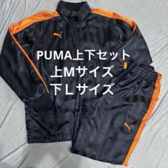 ウインドブレーカー上下 m