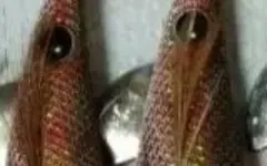 Item thumbnail for item f1bdd03b-426a-4c8a-a620-368ef2aec6ef