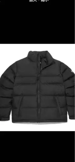 The North Face ブラック ダウンジャケット