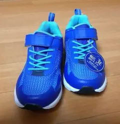 Item thumbnail for item 5571aa9e-5494-428d-aa7c-784344a93ce9