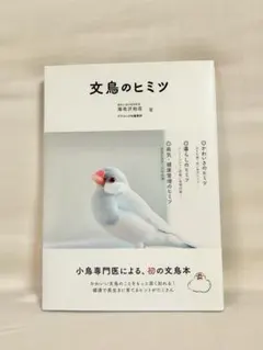 文鳥のヒミツ 海老沢和荘