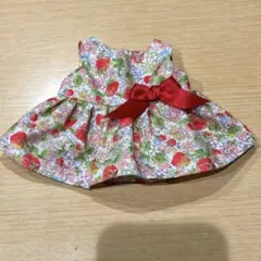 Item thumbnail for item c357ba1c-55f0-481b-a2ba-4400c3479eaf