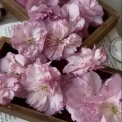 aoisora様 リクエスト 2点 まとめ商品