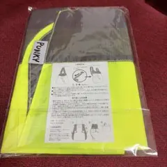 木村カエラ　PUNKY 2WAY エコバッグ ナップサック
