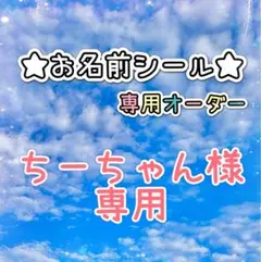 ＊＊＊ちーちゃん様専用＊＊＊