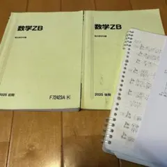 駿台テキスト】数学ZB 2025 前期 後期 板書プリント付 - メルカリ