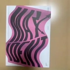 Stray Kids MAXIDENT フォトカード、ポスター付き