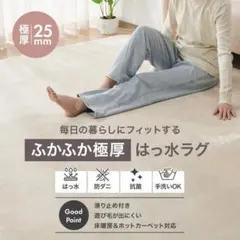 在庫僅か 撥水ラグ 95×185cm 洗える フランネル 床暖房対応 ベージュのサムネイル