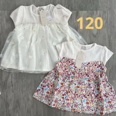 新品 プティマイン Tシャツ 半袖 女の子 120cm