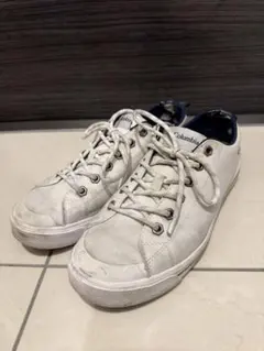 Item thumbnail for item 42442100-08a9-474f-9dbd-f5b0c0b8d43f