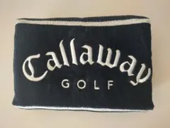 Item thumbnail for item c21b59af-19a3-4161-8006-daf51e568b35