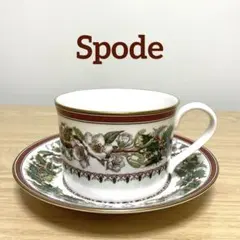 2026年最新】スポード クリスマスローズの人気アイテム - メルカリ