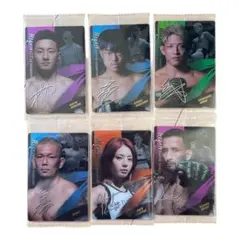 2026年最新】RIZINトレーディングカードの人気アイテム - メルカリ