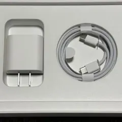 Apple 純正充電器セット 電源アダプター 充電ケーブル iPad付属品