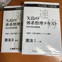 司法試験　予備試験　矢島の体系整理テキスト 裁断済　2025年版 定番，新作登場 司法試験、司法予備試験 LEC 矢島の体系整理テキスト