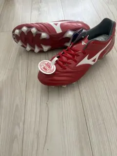 モナルシーダ NEO II SWワイド