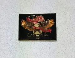 USAヴィンテージ 鷲と星のエンブレム ピンバッジ