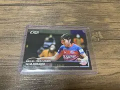 Item thumbnail for item 98006993-3dba-43b6-816b-914c393a0211