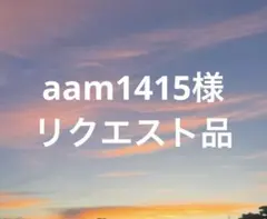 aam1415様 リクエスト品