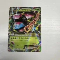 2025年最新】MフシギバナEXの人気アイテム - メルカリ