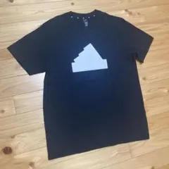 Item thumbnail for item 8a2c09da-f259-49f5-b56b-ca8096553ea9