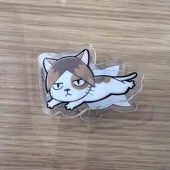 ハイキュー サンキューマート ランダム アクリルクリップ 黒尾鉄朗 孤爪研磨