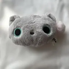 ポーチ　靴下にゃんこ　【サンエックス】