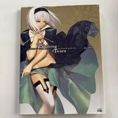 TAKASHIHASHIMOTO ARTWORKS 橋本タカシ画集 ヨスガノソラ - メルカリ