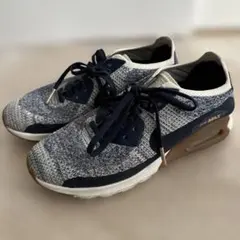 Item thumbnail for item 3dee24d1-1001-4131-8ba6-77a5299583e9